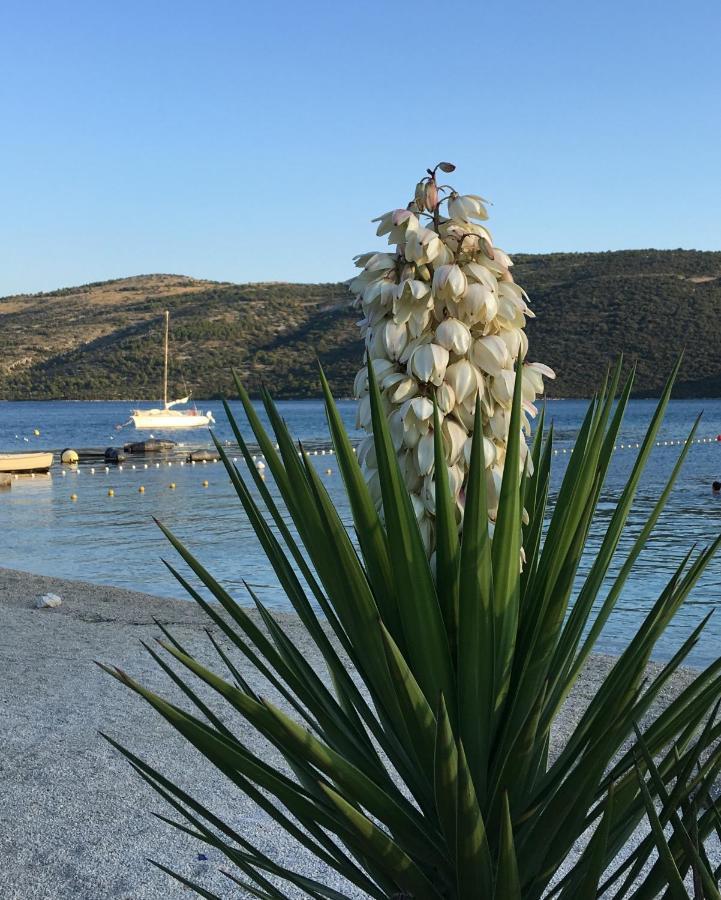 Villa Ludilo Mit 4 Apartments In Poljica - Marina Bei Trogir Split エクステリア 写真