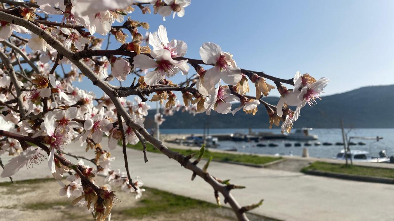 Villa Ludilo Mit 4 Apartments In Poljica - Marina Bei Trogir Split エクステリア 写真