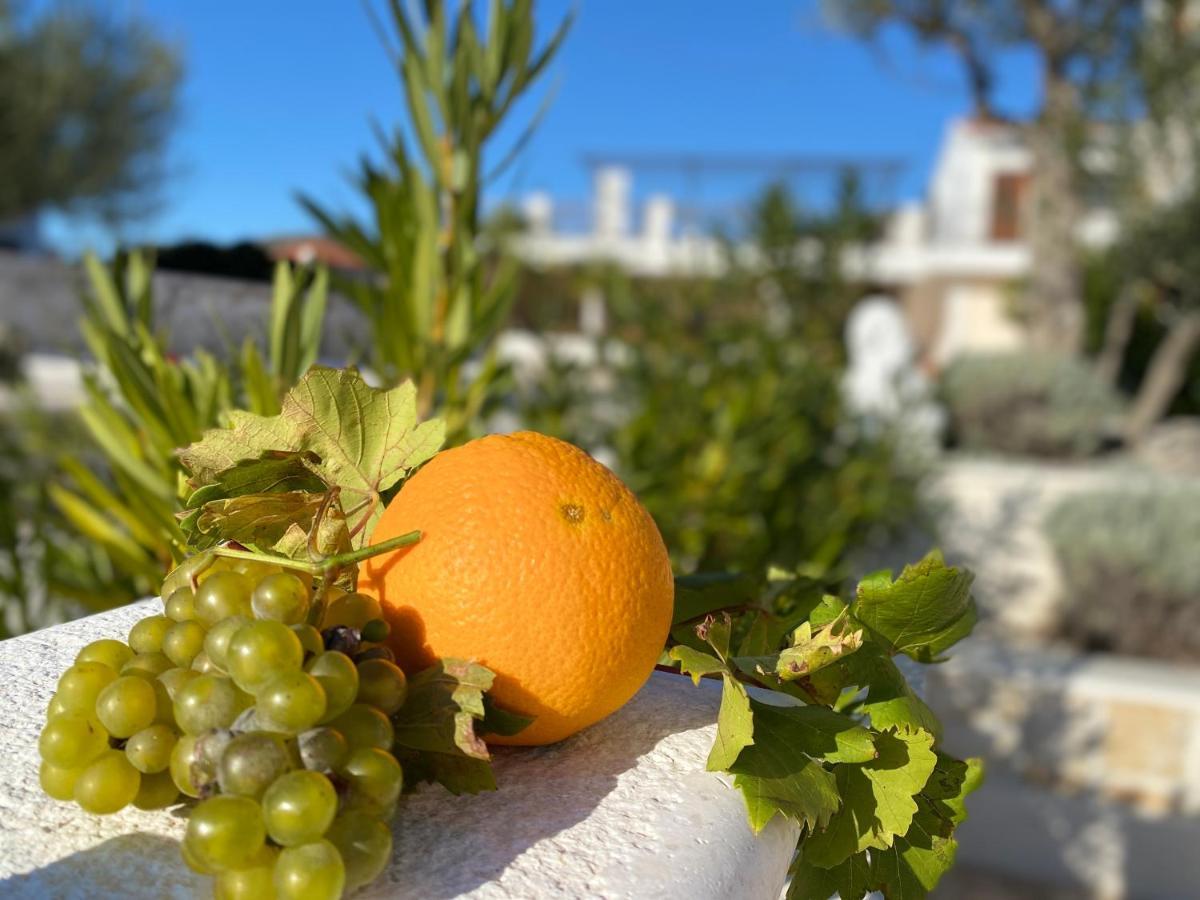 Villa Ludilo Mit 4 Apartments In Poljica - Marina Bei Trogir Split エクステリア 写真
